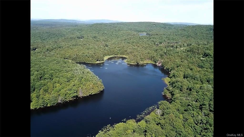 Land Tanzman  Sullivan, NY 12768, MLS-H6123698-2