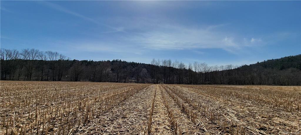 Land Cochecton  Sullivan, NY 12726, MLS-H6177700-2