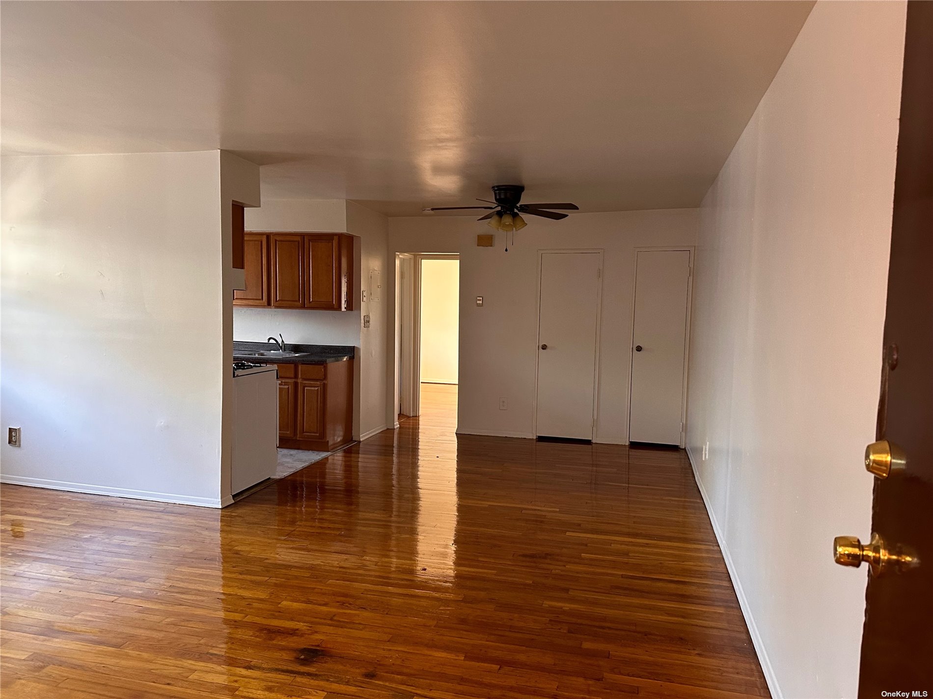 Apartment Corona  Nassau, NY 11580, MLS-3514701-2