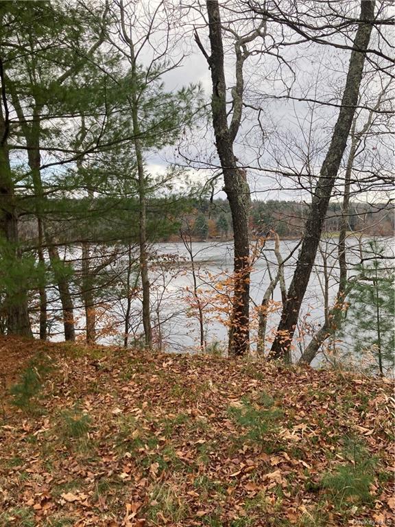 Land Plank  Sullivan, NY 12762, MLS-H6274706-2