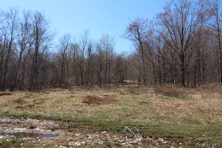 Land Cattail  Sullivan, NY 12758, MLS-H6244708-2