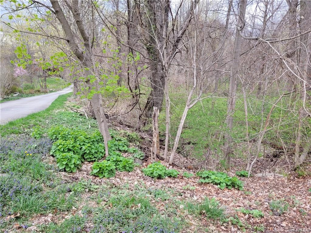 Land Fowler  Westchester, NY 10567, MLS-H6184715-2