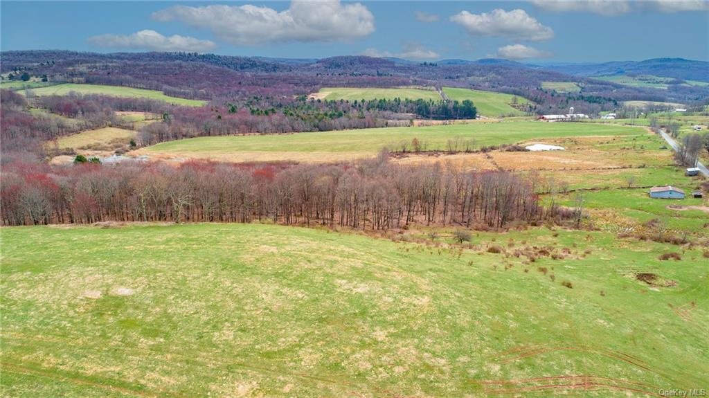 Land Peters  Sullivan, NY 12736, MLS-H6256722-2