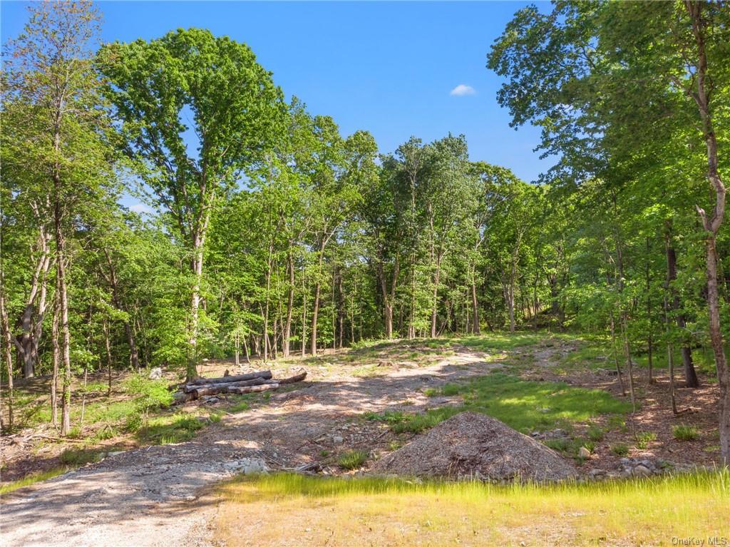 Land Lot 4 South Road  Dutchess, NY 12531, MLS-H6240725-2