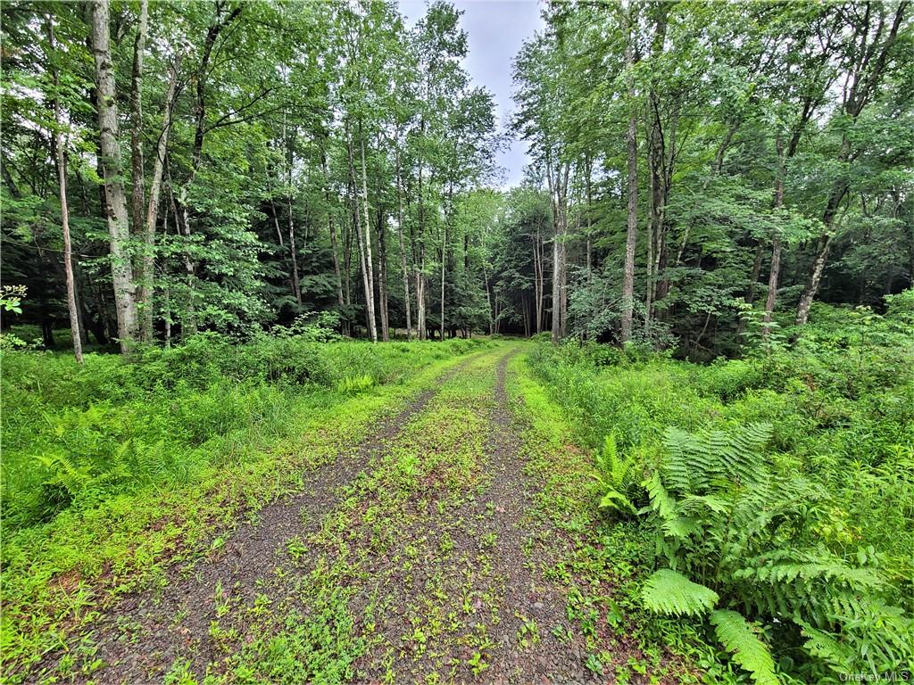 Land Goldsmith  Sullivan, NY 12783, MLS-H6258729-2