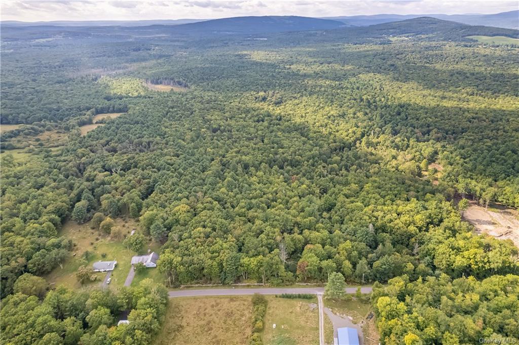 Land Brown  Ulster, NY 12489, MLS-H6211737-2