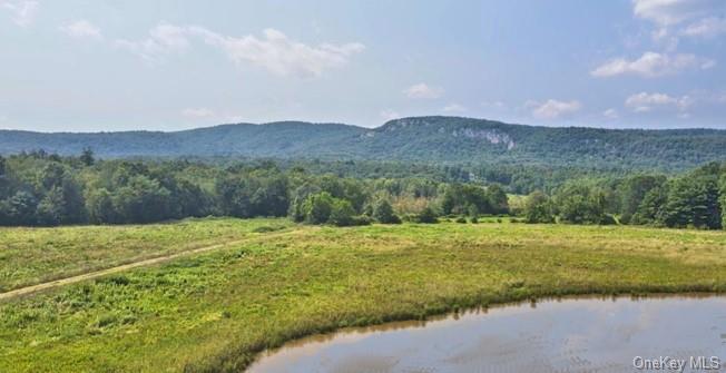 Land Springtown  Ulster, NY 12561, MLS-H6266739-2