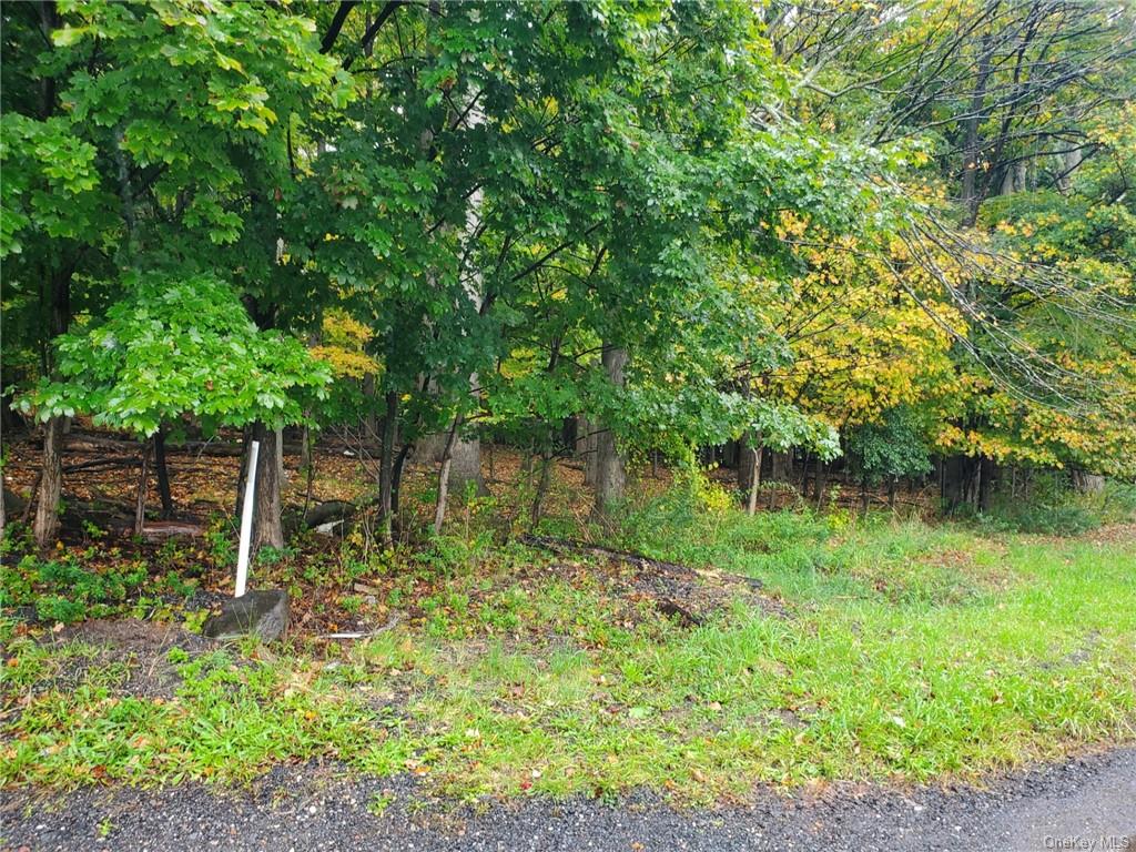 Land Route 303  Rockland, NY 10913, MLS-H6273740-2