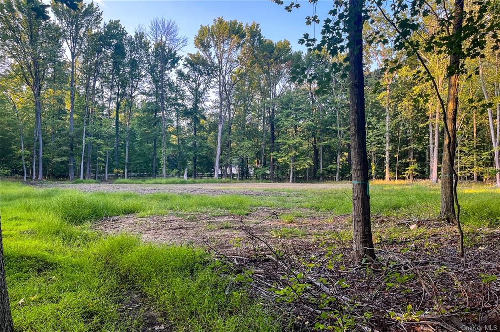 Land Route 9w  Rockland, NY 10964, MLS-H6264742-2