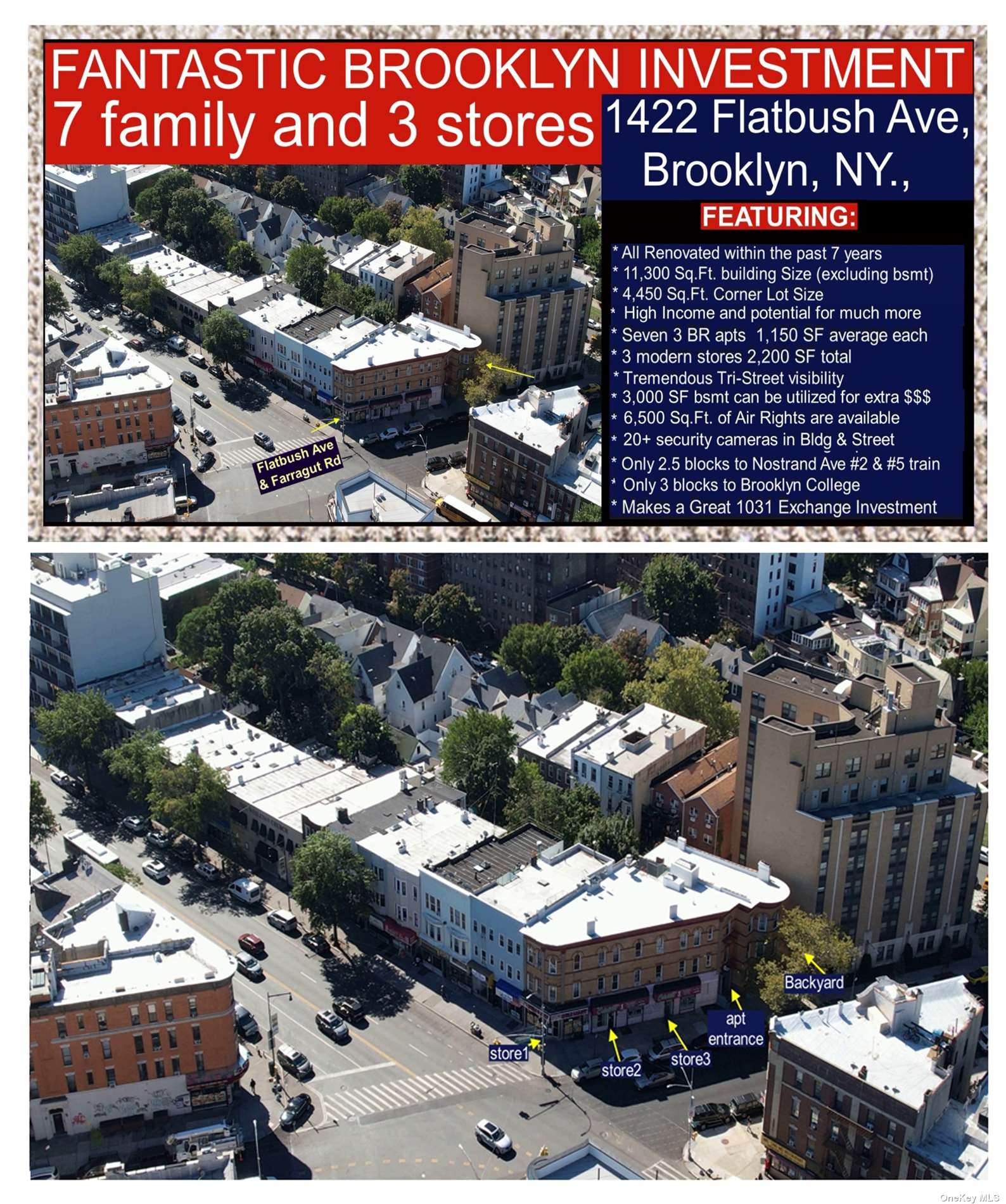 Mixed Use Flatbush  Brooklyn, NY 11210, MLS-3434744-2