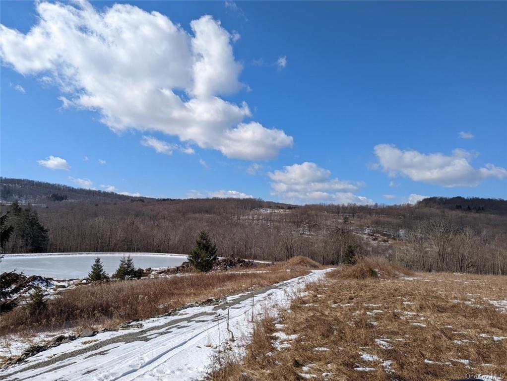 Land 0 Buck Brook Rd Tr10  Sullivan, NY 12736, MLS-H6172755-2