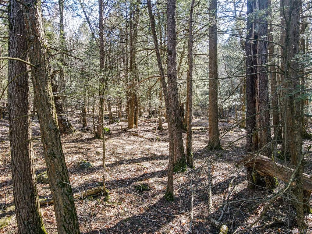 Land Beaver Lane Tr 166  Sullivan, NY 12733, MLS-H6242756-2