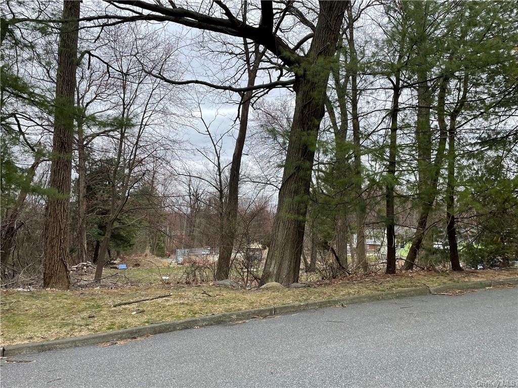 Land Williams  Rockland, NY 10977, MLS-H6240769-2