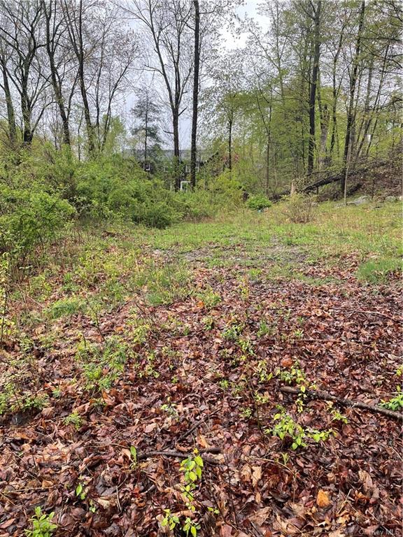 Land Front  Westchester, NY 10598, MLS-H6244777-2