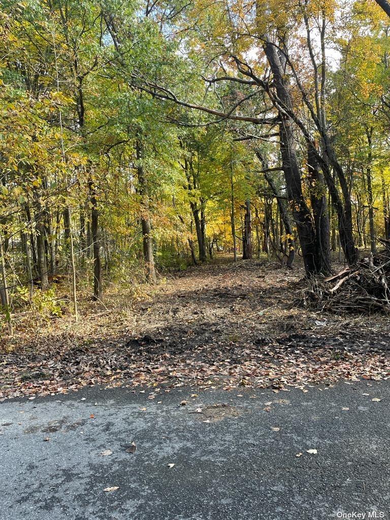Land Tammy  Out Of Area, NY 12015, MLS-3465779-2
