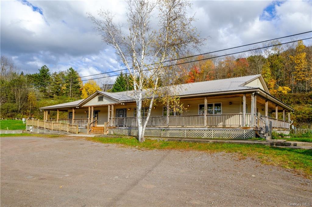 Commercial Sale State Highway 28  Delaware, NY 13731, MLS-H6280782-2