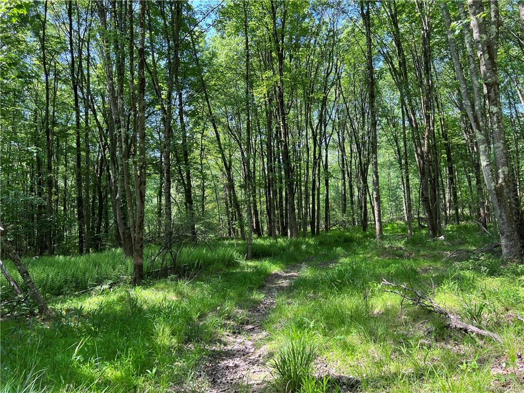 Land Gables  Sullivan, NY 12764, MLS-H6252813-2