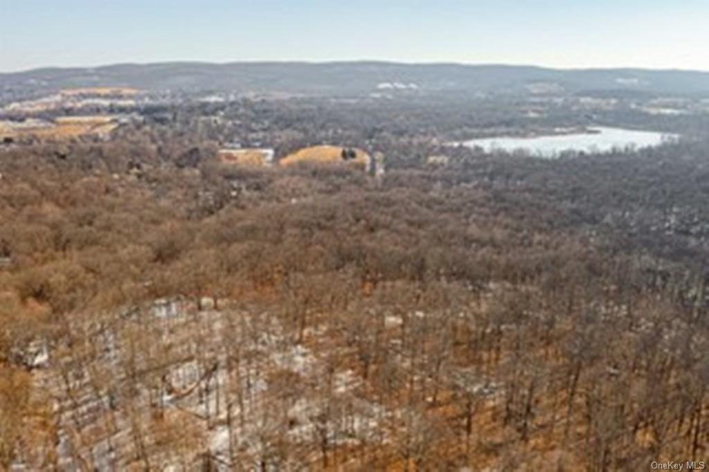 Land Beekman  Dutchess, NY 12533, MLS-H6229832-2