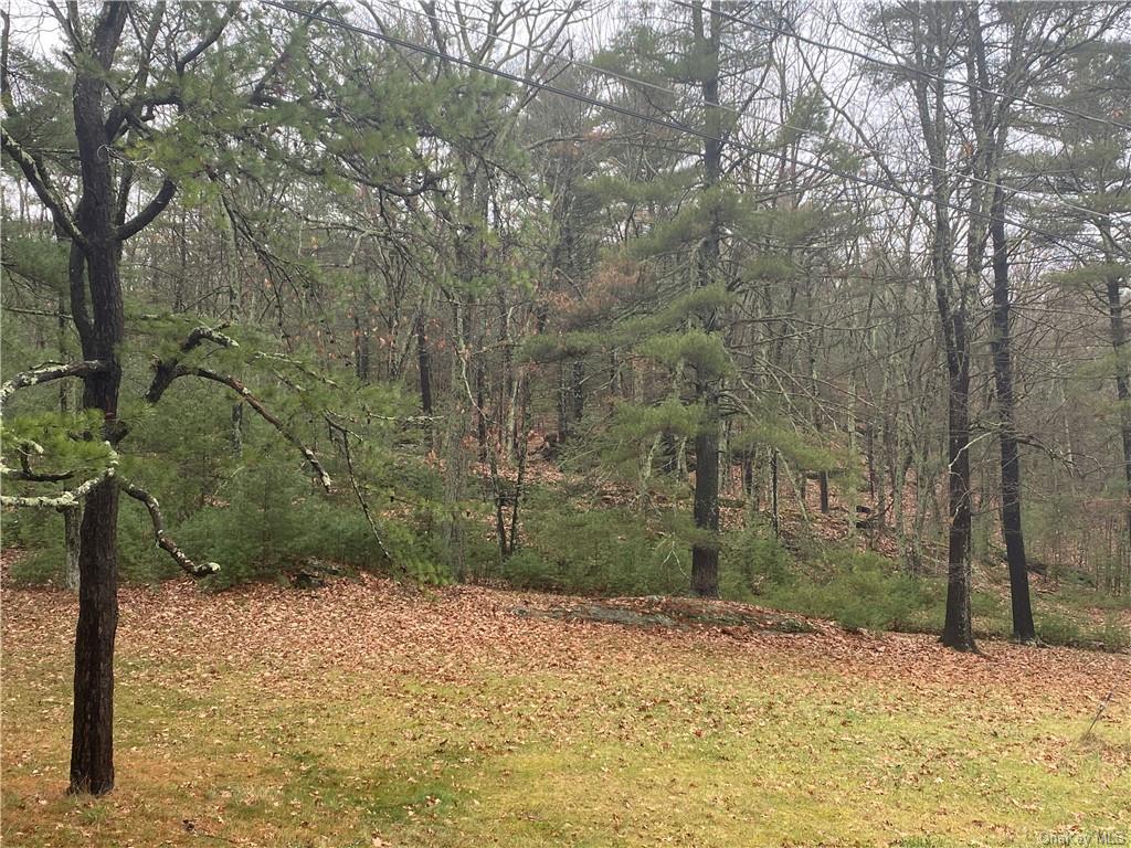 Land Diane  Ulster, NY 12428, MLS-H6223846-2