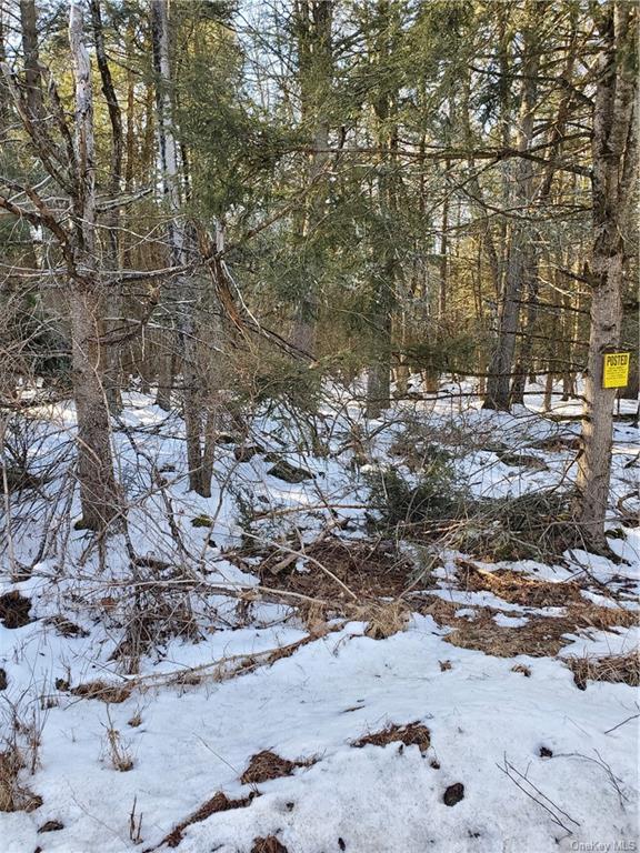 Land Red Star  Ulster, NY 12435, MLS-H6236851-2