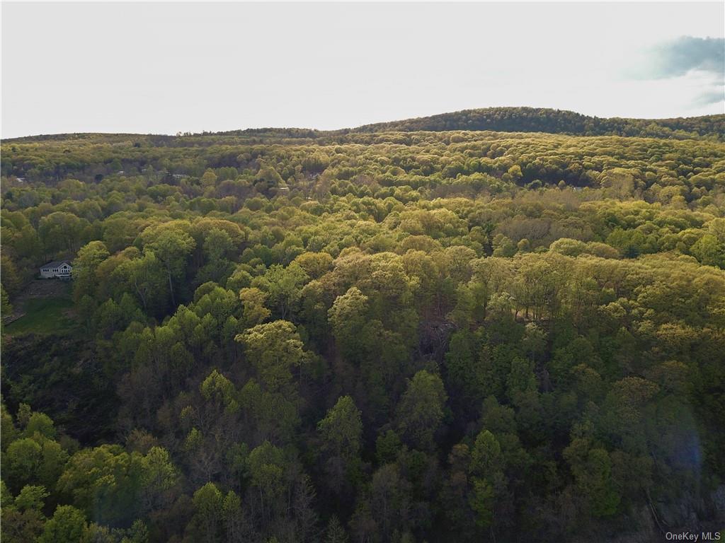 Land Elbow  Ulster, NY 12528, MLS-H6246858-2