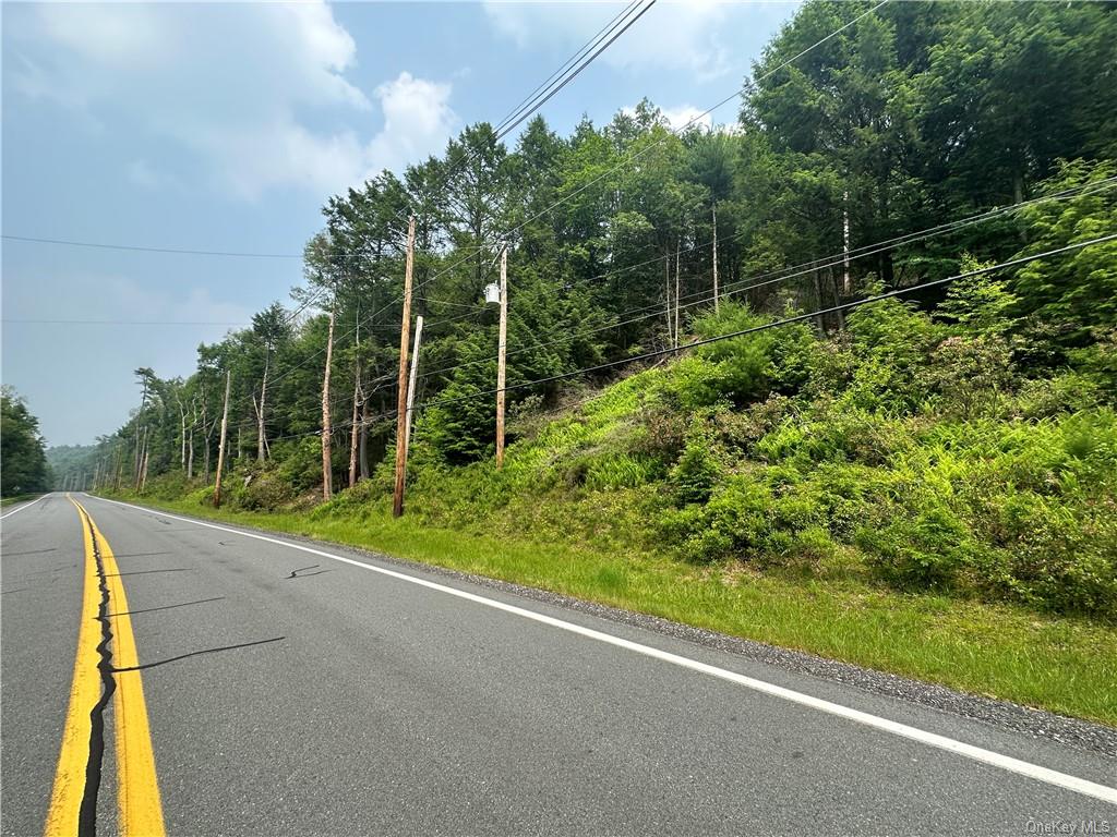 Land State Route 55  Sullivan, NY 12719, MLS-H6256862-2