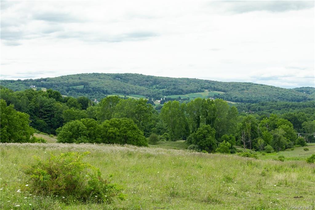 Land Yonderview  Columbia, NY 12529, MLS-H6201886-2