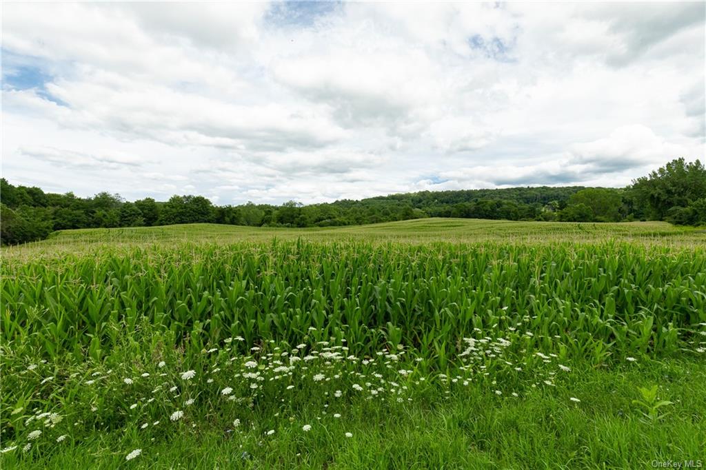 Land Yonderview  Columbia, NY 12529, MLS-H6201889-2