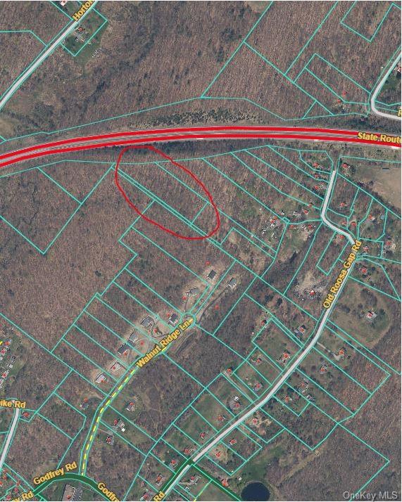 Land Old Roosa Gap  Sullivan, NY 12790, MLS-H6279901-2