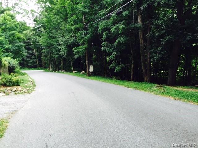 Land Hickory  Westchester, NY 10598, MLS-H6164909-2