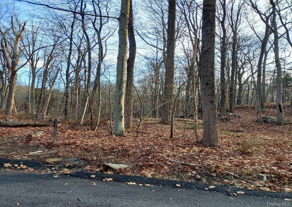 Land Laurie  Westchester, NY 10590, MLS-H6279910-2