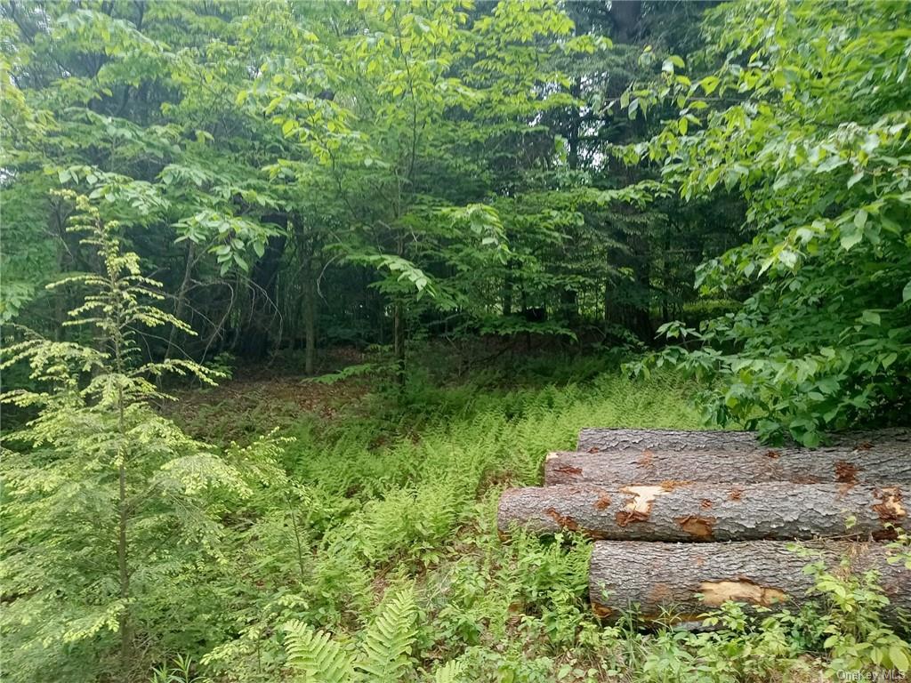 Land Black Bear  Sullivan, NY 12725, MLS-H6253912-2