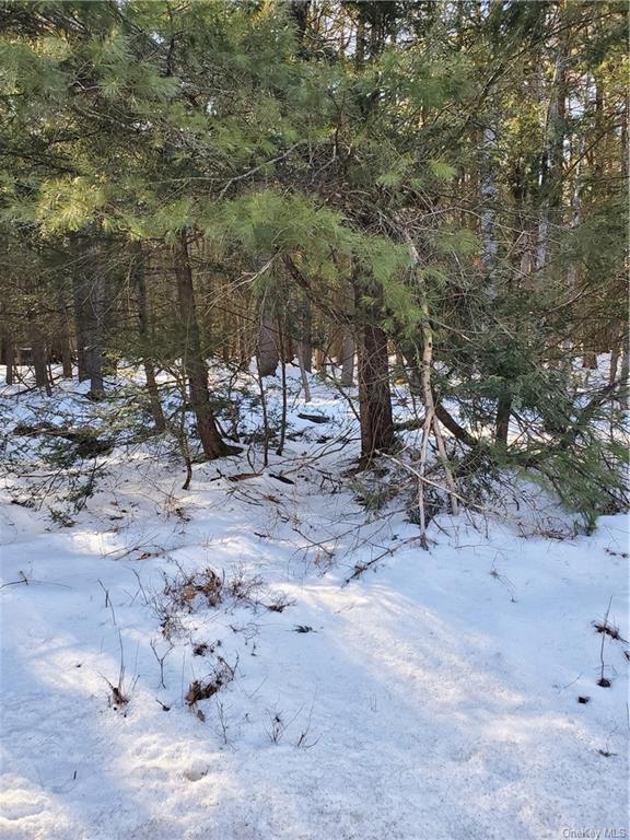 Land Red Star  Ulster, NY 12435, MLS-H6236940-2