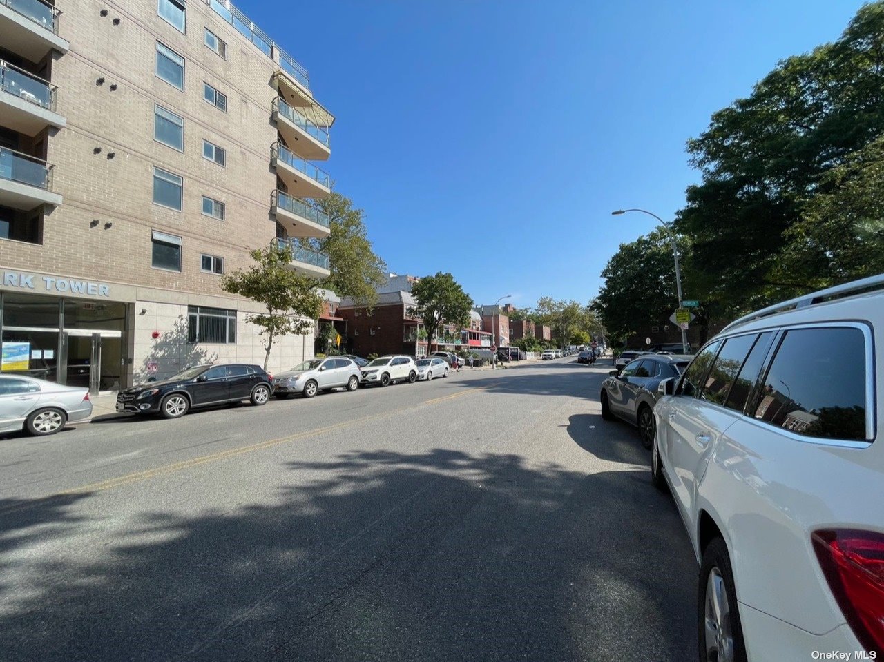 Condo Blossom  Queens, NY 11355, MLS-3502941-2