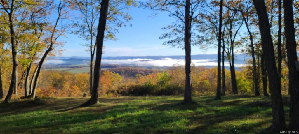 Land Cascade  Dutchess, NY 12501, MLS-H6176942-2