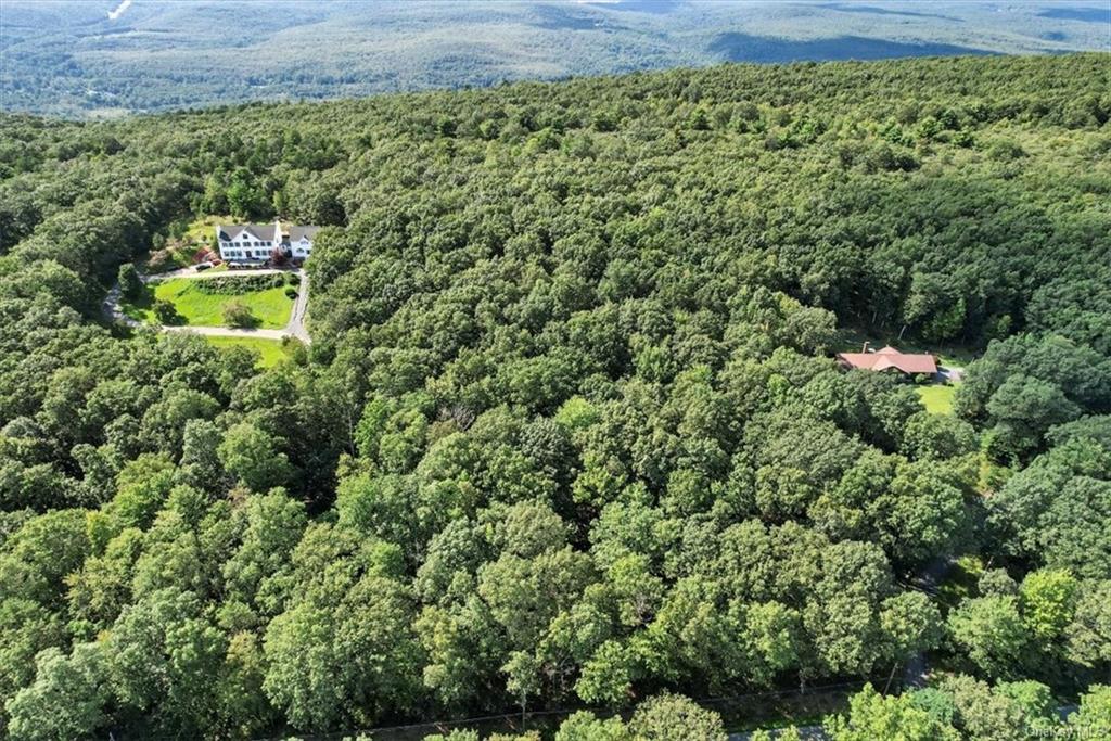 Land Shawanga Lodge  Sullivan, NY 12790, MLS-H6232960-2