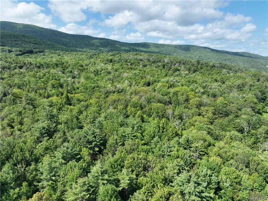 Land Beaver Hill  Out Of Area, NY 12076, MLS-H6268965-2