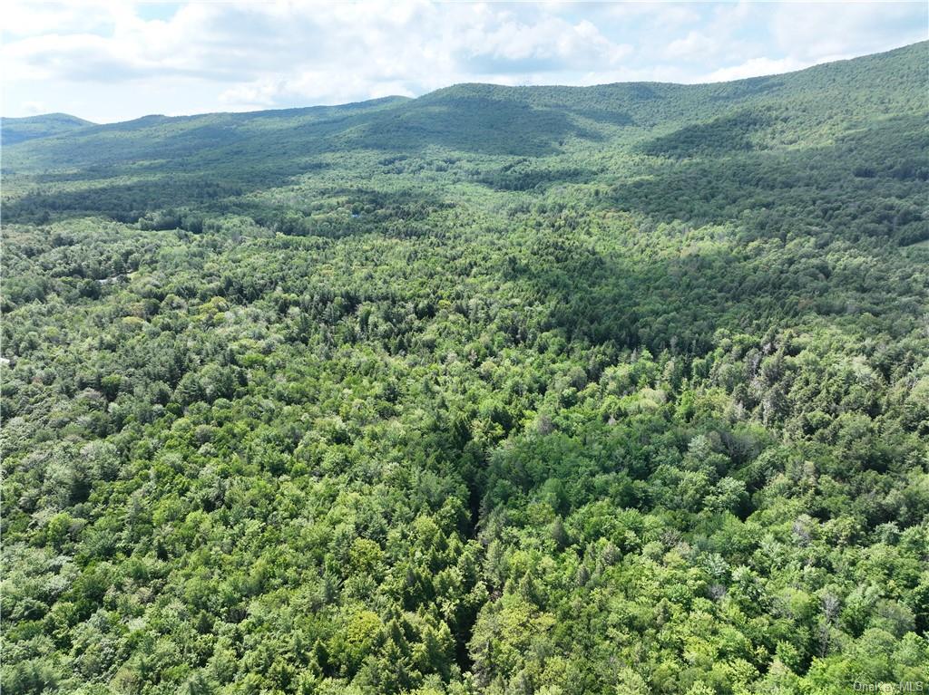 Land Beaver Hill  Out Of Area, NY 12076, MLS-H6268966-2