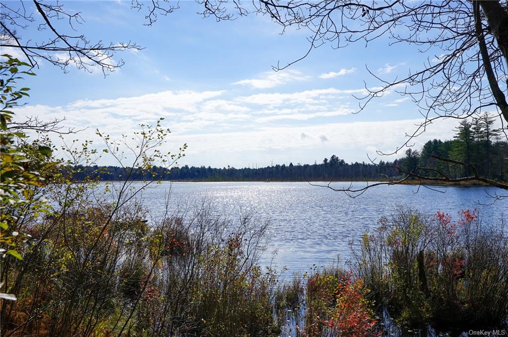 Land Amber Lake  Sullivan, NY 12758, MLS-H6150969-2