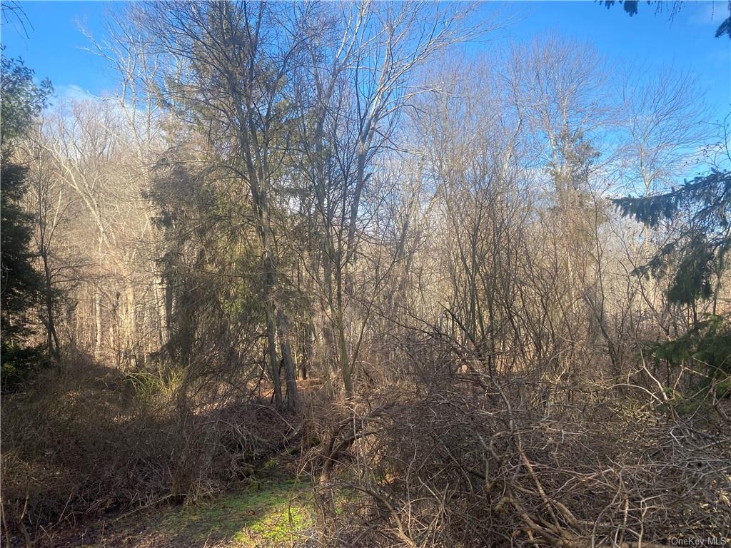 Land Armonk  Westchester, NY 10549, MLS-H6228972-2