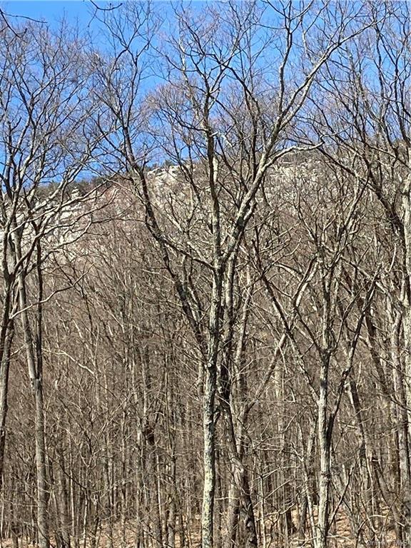 Land Mountain  Ulster, NY 12525, MLS-H6240983-2