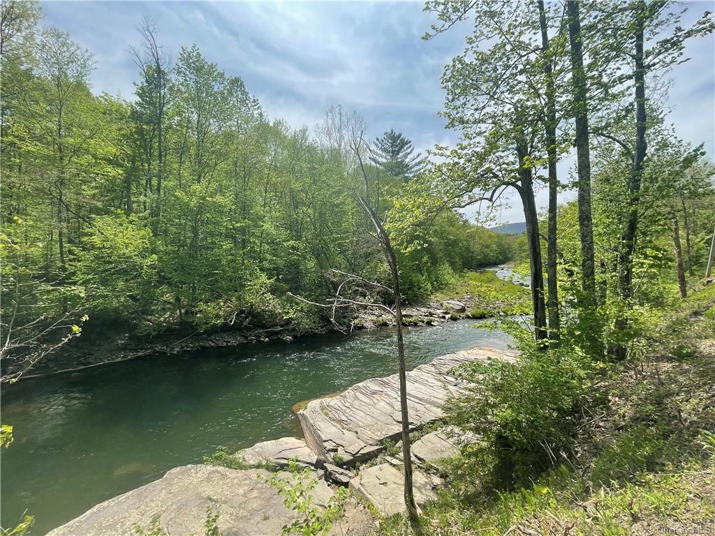 Land Creek Side  Ulster, NY 12480, MLS-H6228986-2