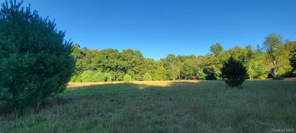 Land Meyerson  Sullivan, NY 12790, MLS-H6207993-2