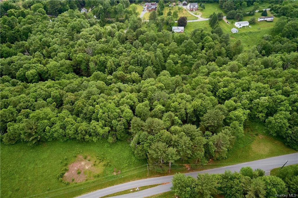 Land Lot 3 Chapin  Sullivan, NY 12786, MLS-H6278999-2