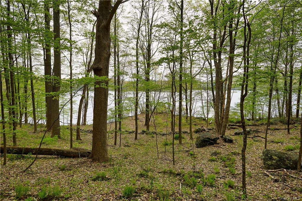 Land Pierson Lakes  Rockland, NY 10974, MLS-H6246069-20