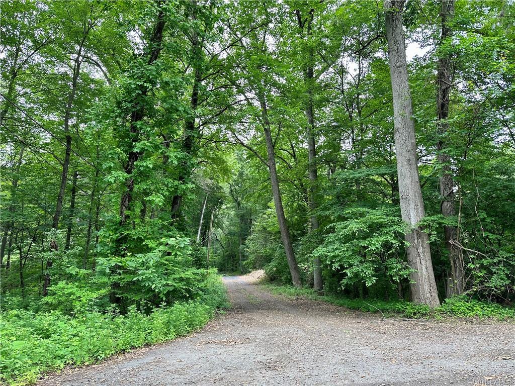 Land Pierson Lakes  Rockland, NY 10974, MLS-H6255156-20