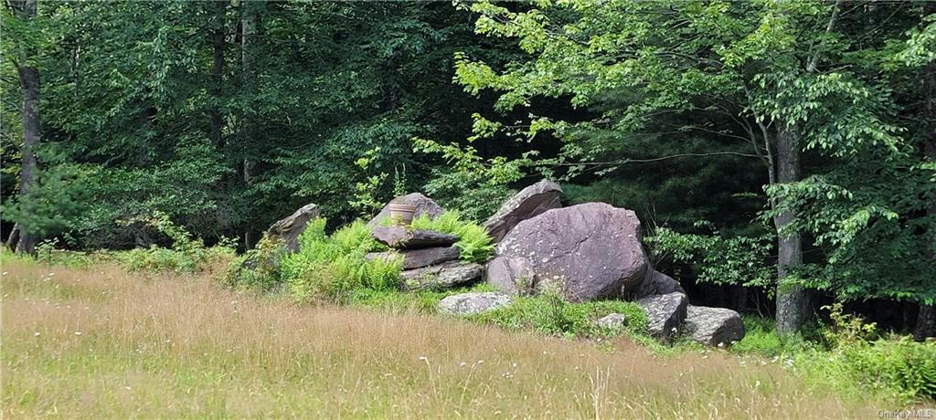 Land Westervelt  Sullivan, NY 12726, MLS-H6264186-20