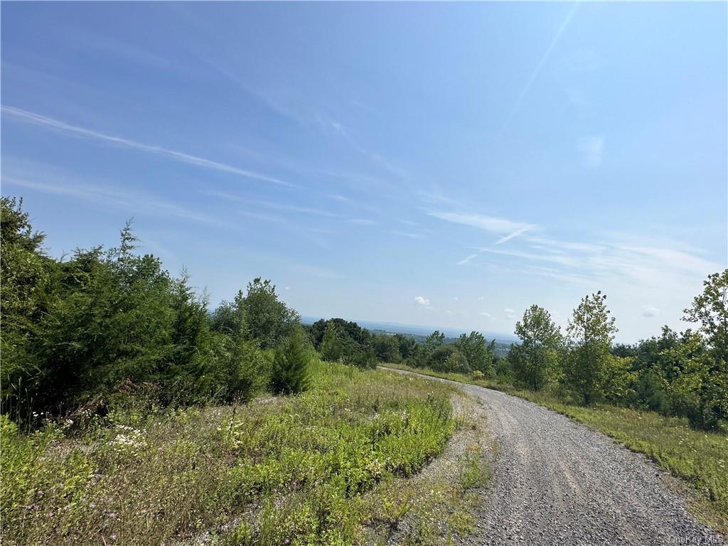 Land Truncali  Ulster, NY 12542, MLS-H6263292-20