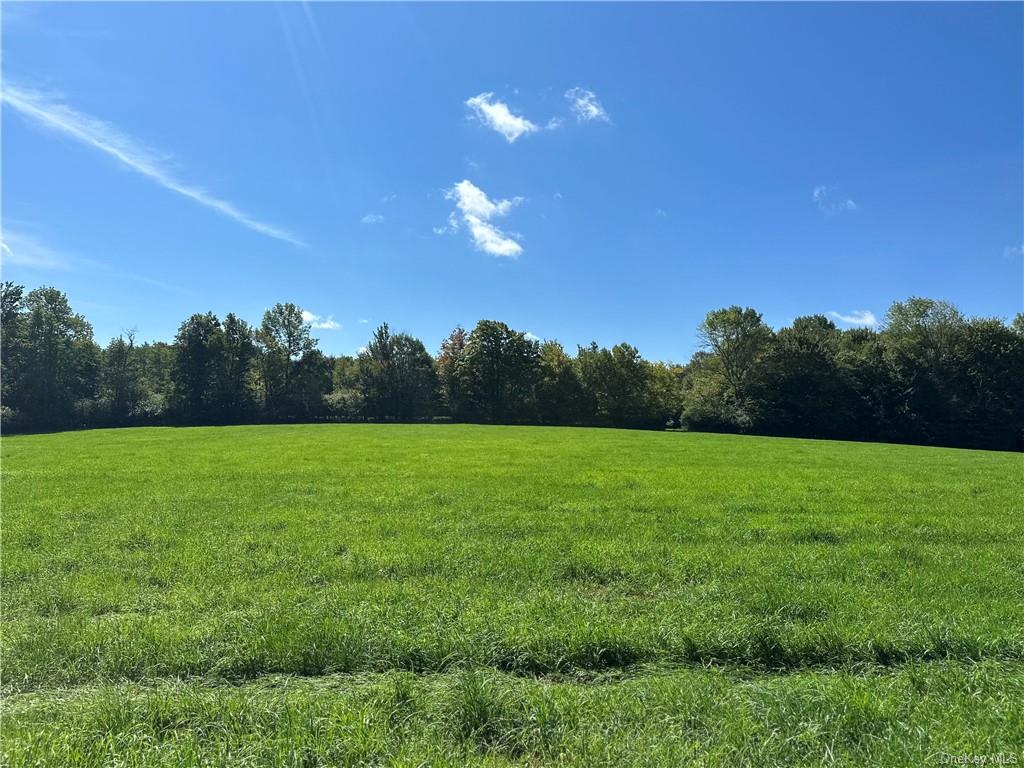 Land Menges  Sullivan, NY 12791, MLS-H6268308-20