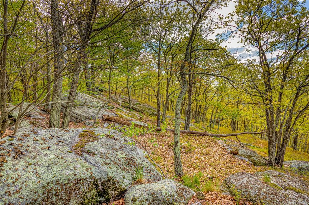 Land Gully  Ulster, NY 12420, MLS-H6249329-20